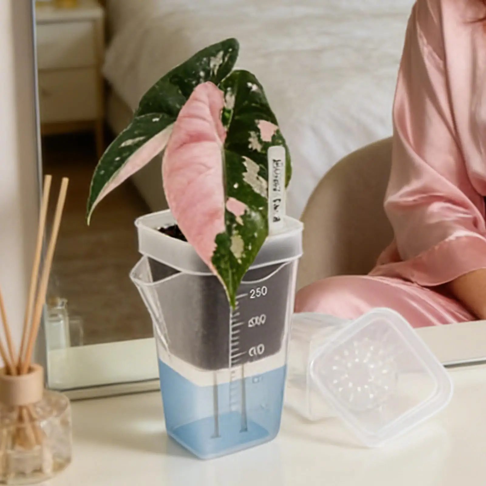 10 Pieces Indoor Plant Pot Transparent Self-Watering Planter Small Hydroponic Propagation Pots for African Violets Alocasia - view 4