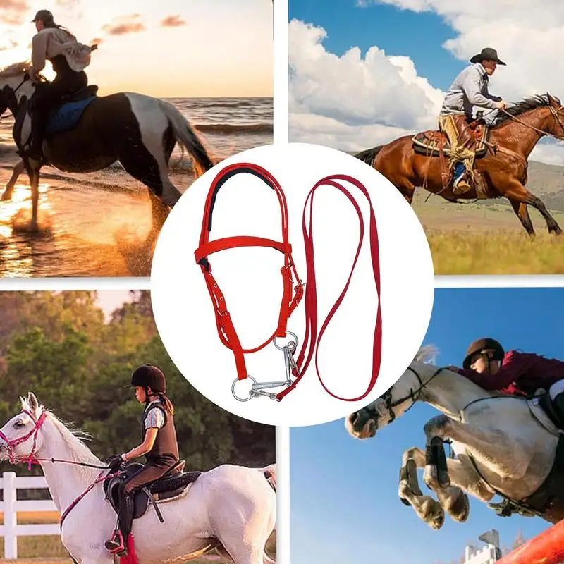 Nylon Equine Noseband Reins for Women Men Soft Lined Trail Riding Equestrian Supplies equestrian Equipment Adjustable Supplies