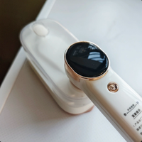 220V Handheld Steamer Portable Mini Iron for Clothes with Large Steam Home Use Travel CQ