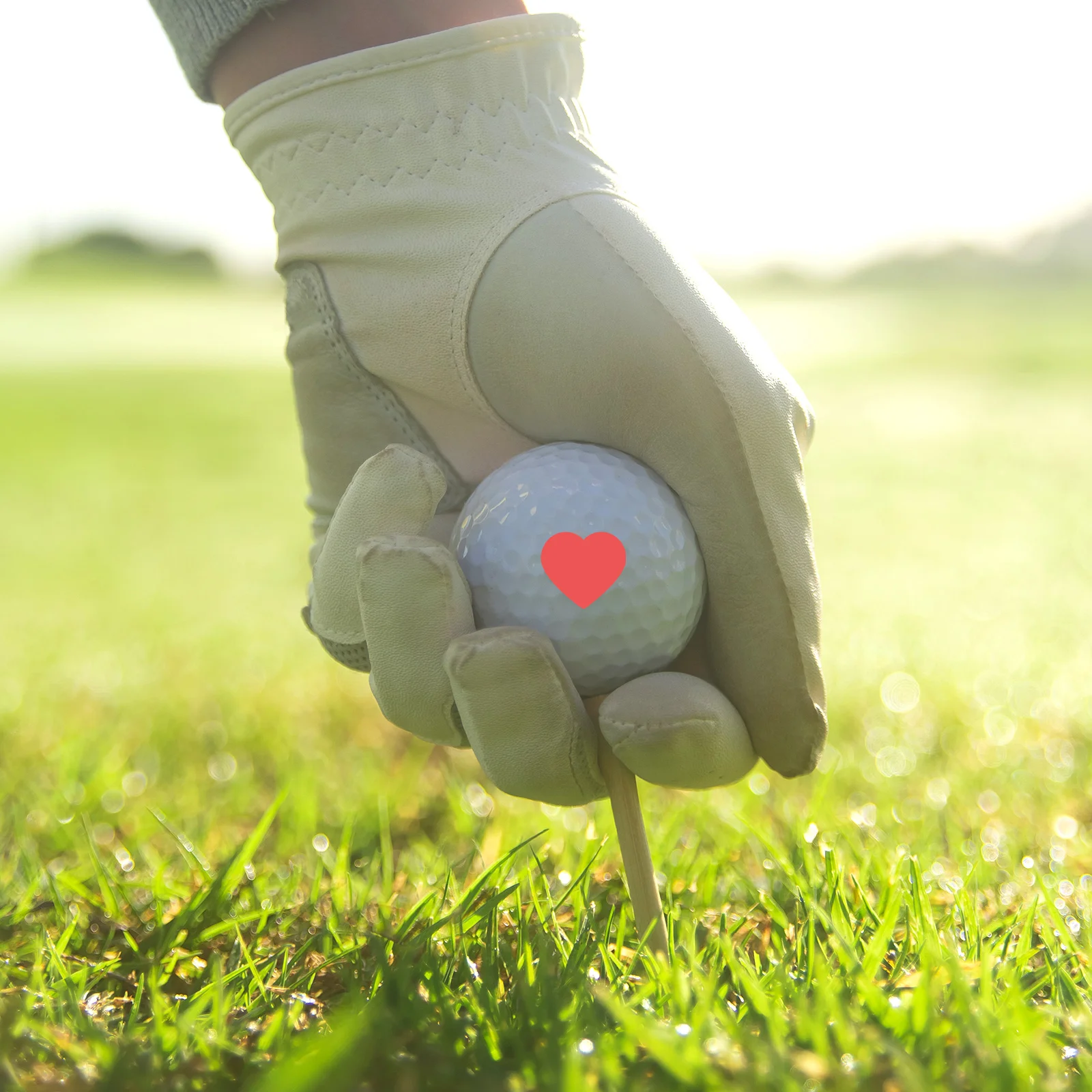 

Golf Ball Stamp Plastic Material Compact Portable DIY Golf Stamper Tool Reusable Creative Marker Heart Shape