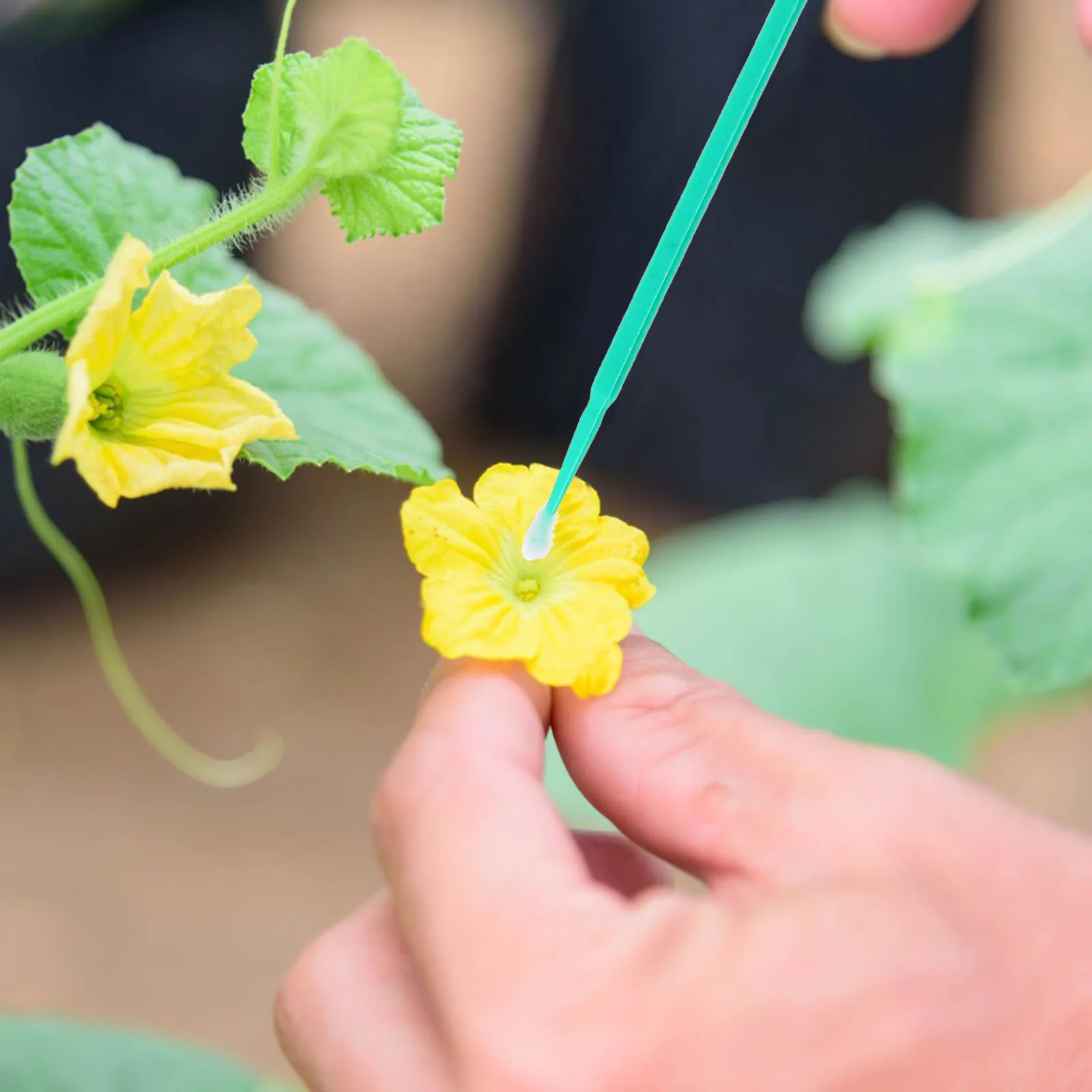 

100pcs Chalk Pen Hand Pollination Tools Manual Succulent Cross Brushes for Fruit Vegetable Flower Yard