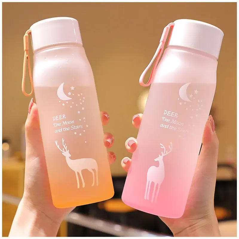 560ml Water Bottle Gradient Color Frosted Sports Outdoor Coffee Cup Leakproof Travel Drinking Jug Large Capacity Jugs Cups