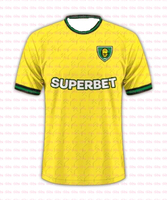 GKS Katowice 25-26 Season Home Jersey Breathable Football Jersey Suitable for Both Adults and Children