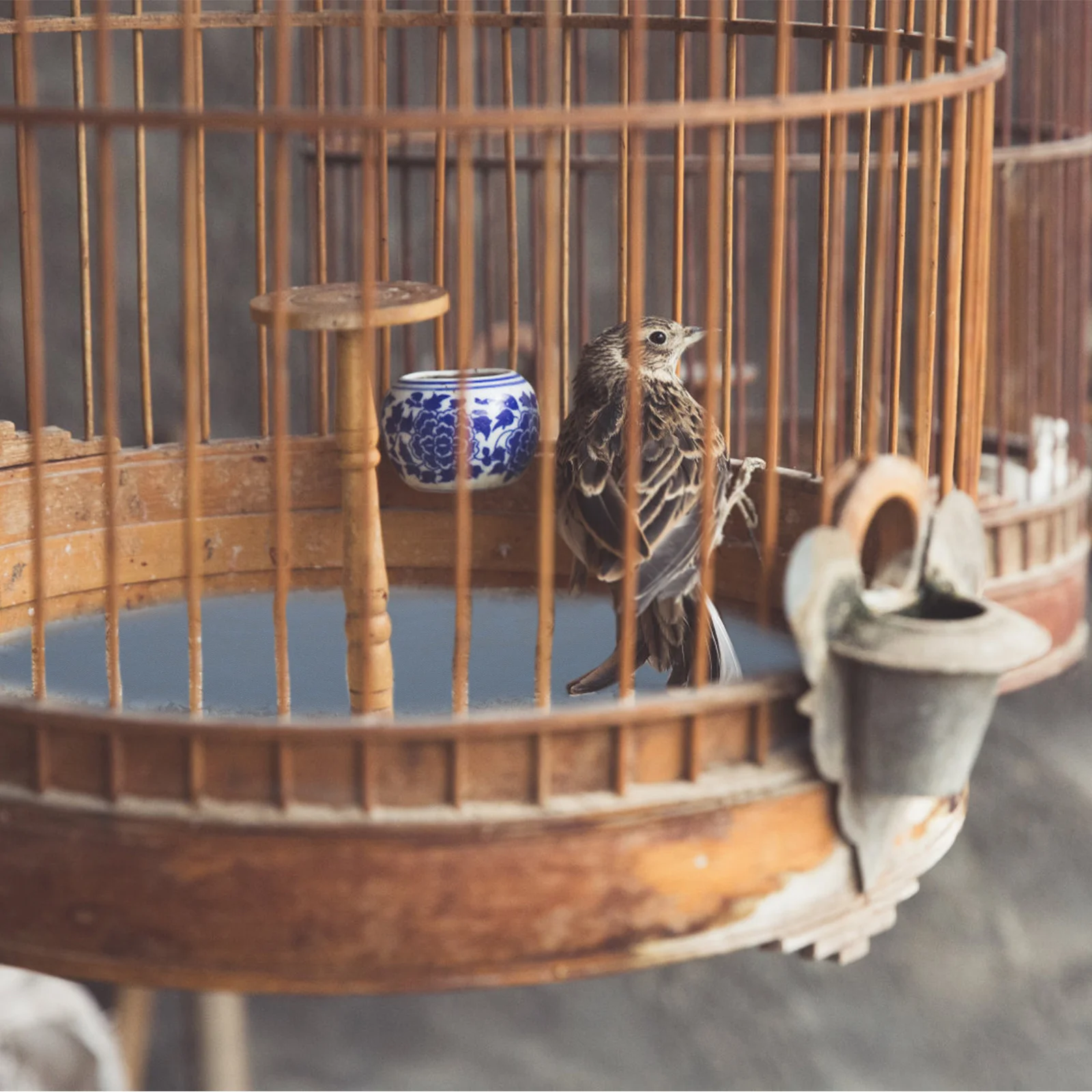 

10pcs Sandpaper Wear-Resistant Replaceable Gravel Paper Liner Pet Cage Pad For Parrot Bird Cage Mat Household Pet Supply Bird