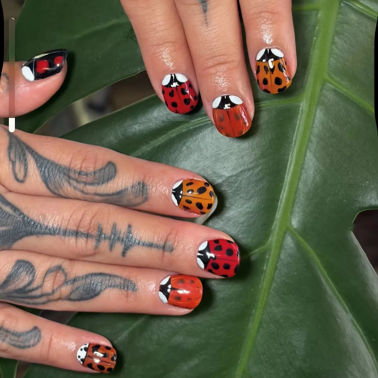 Short Square Press on Nails Red Orange False Nails Hand Drawn Ladybug Beetle Design Wearable Nails Trendy Creative Nail Art
