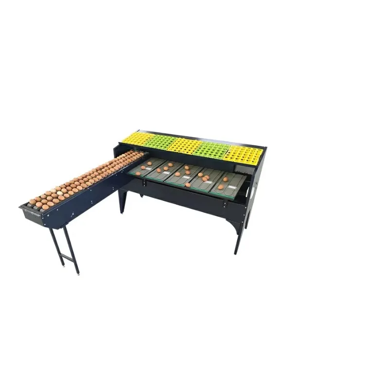 Automatic Egg Grading System Custom with Weight Sorter and Lighting Inspection Machine Poultry Farm Egg Processing Line