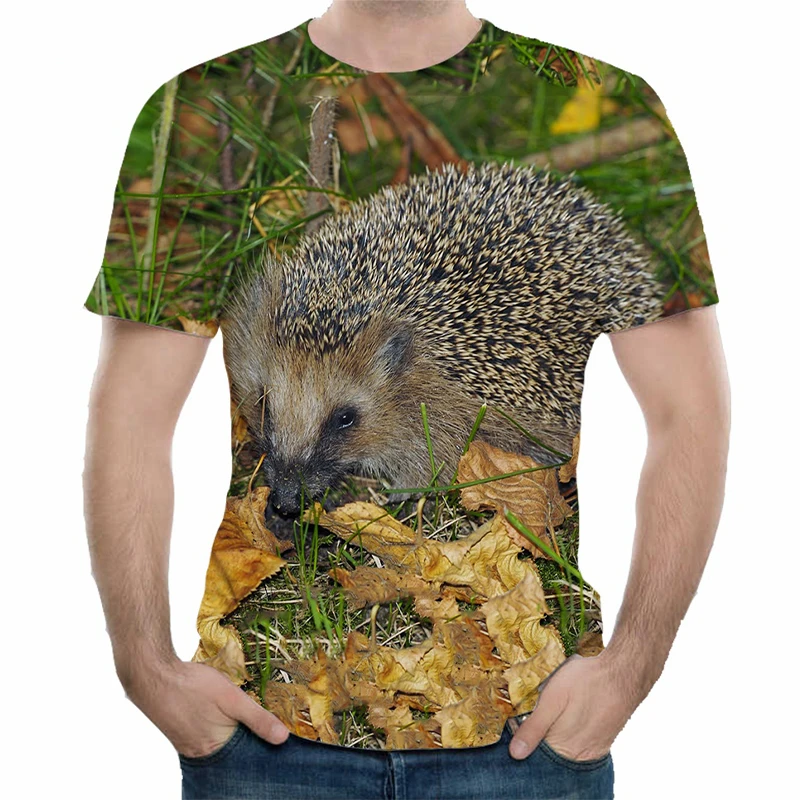 Funny Cute Hedgehog T-Shirts 3D Print Streetwear Men Women Casual Fashion Oversized Short Sleeve T Shirt Kids Tees Tops Clothing