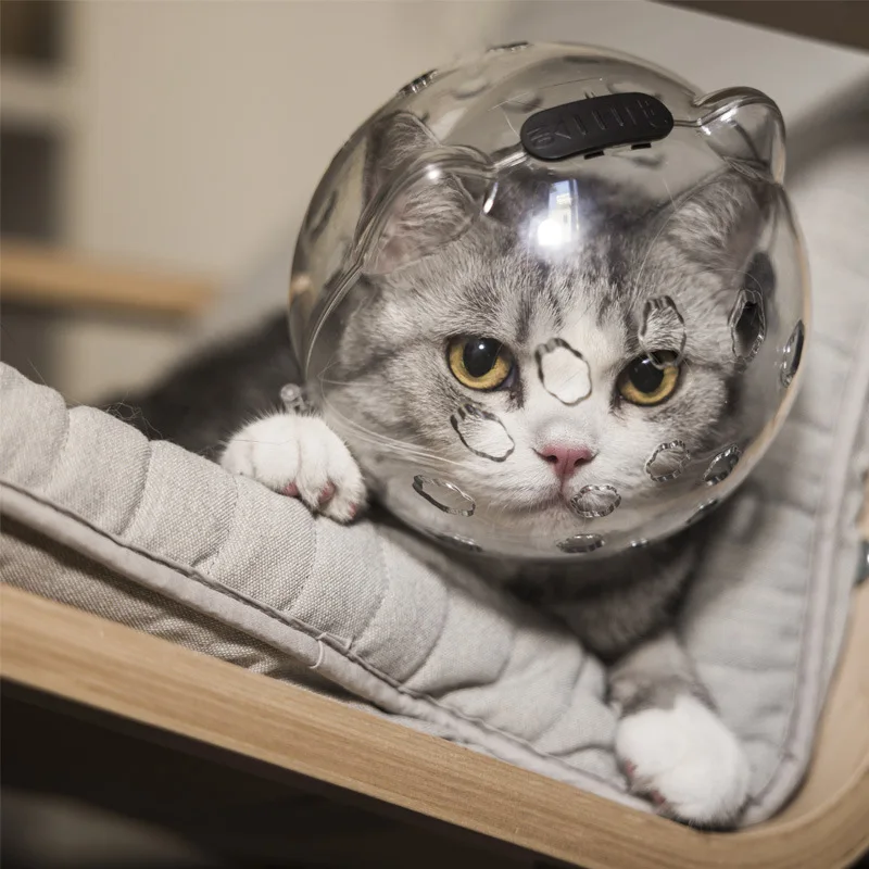 Pet cat space helmet anti-bite Transparent Hood