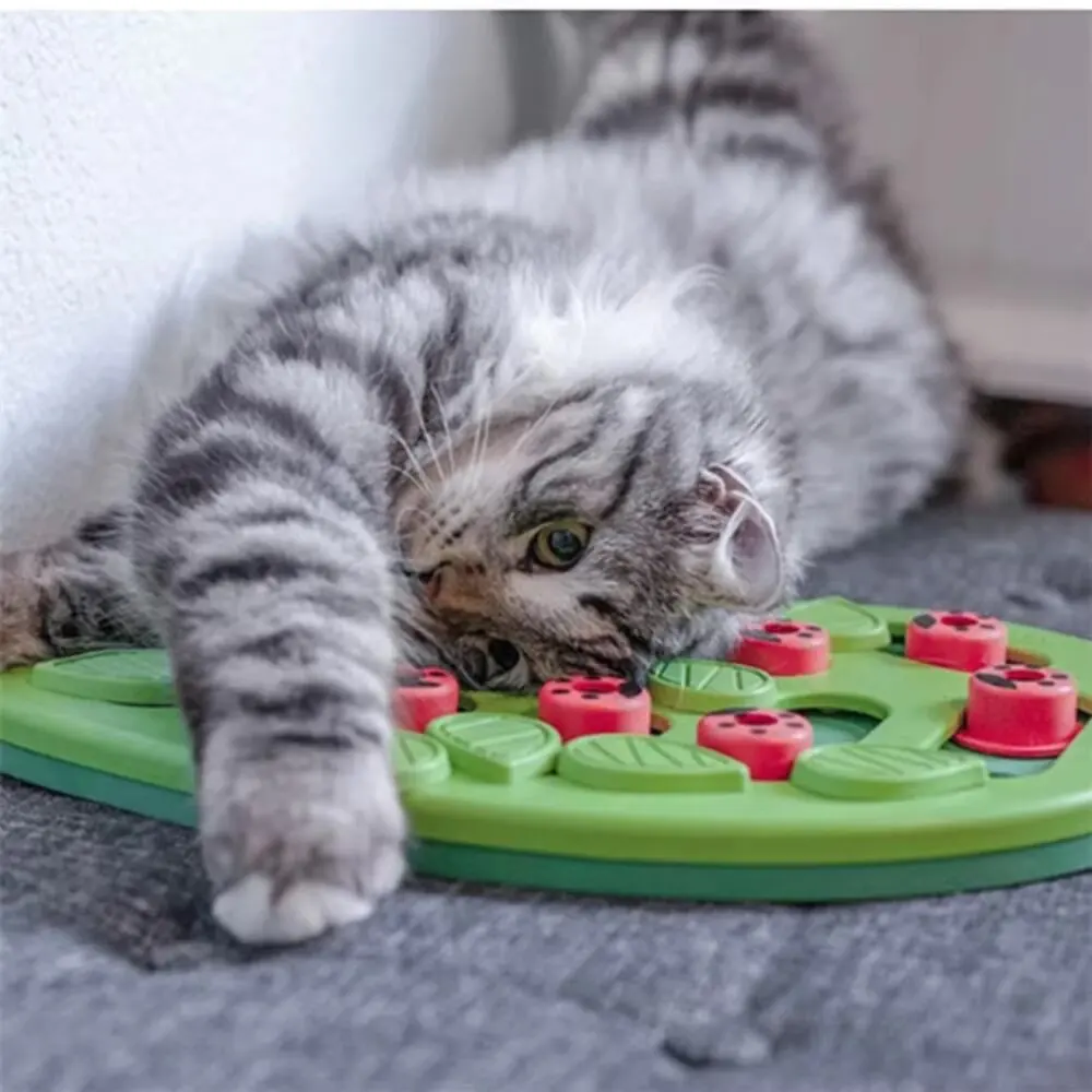 Thumbnail 4 - #39 Trending Interactive Cat Toys Right Now