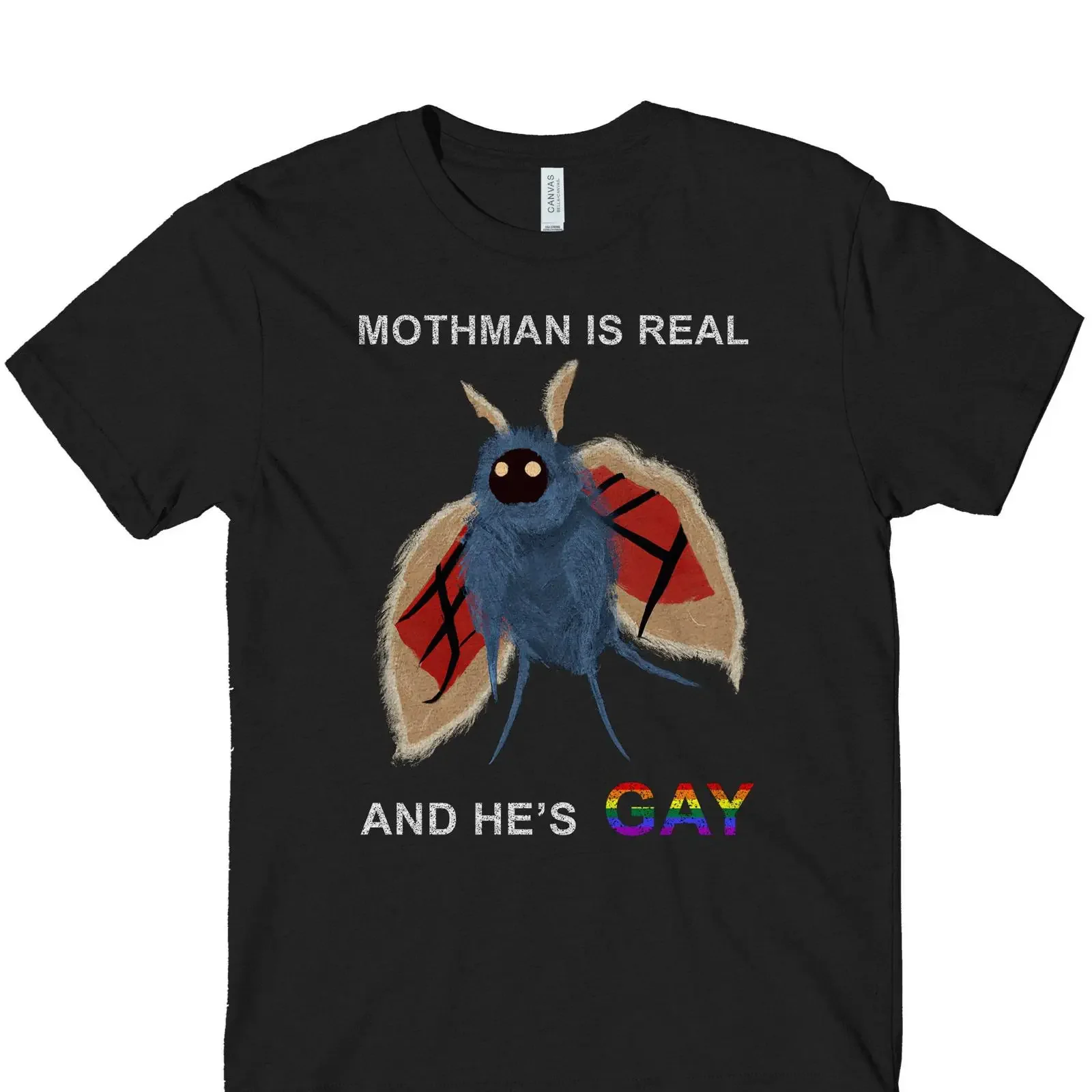 Mothman is Real and He's Gay T Shirt Funny Cryptid  vintage Washed Top For Everyday Wear fashion Stylish Comfortable graphic