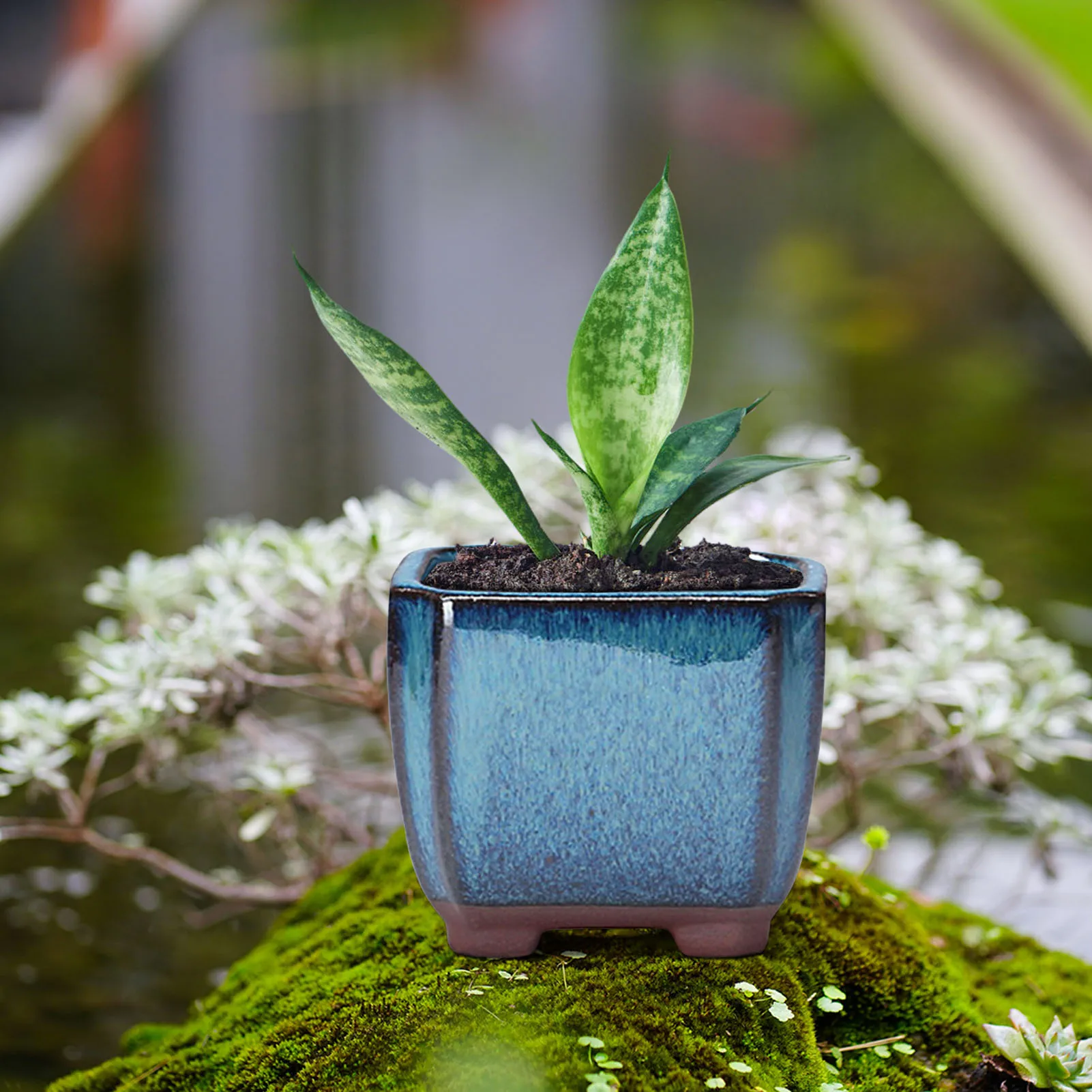 Thumbnail 2 - #31 Highest Rated Outdoor Planter Boxes to Buy in 2026