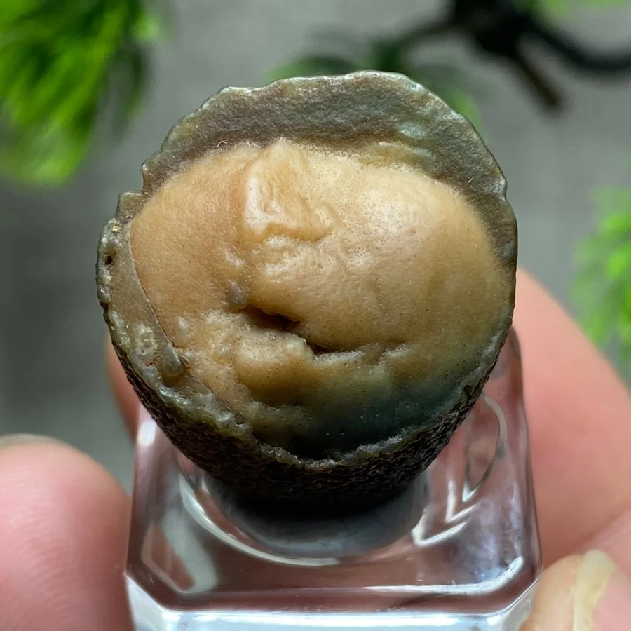 Natural Gobi Eye Agate Raw Stone Unique Sugar Heart Pattern Quartz Crystal Healing Mineral Specimen Home Decoration Collection