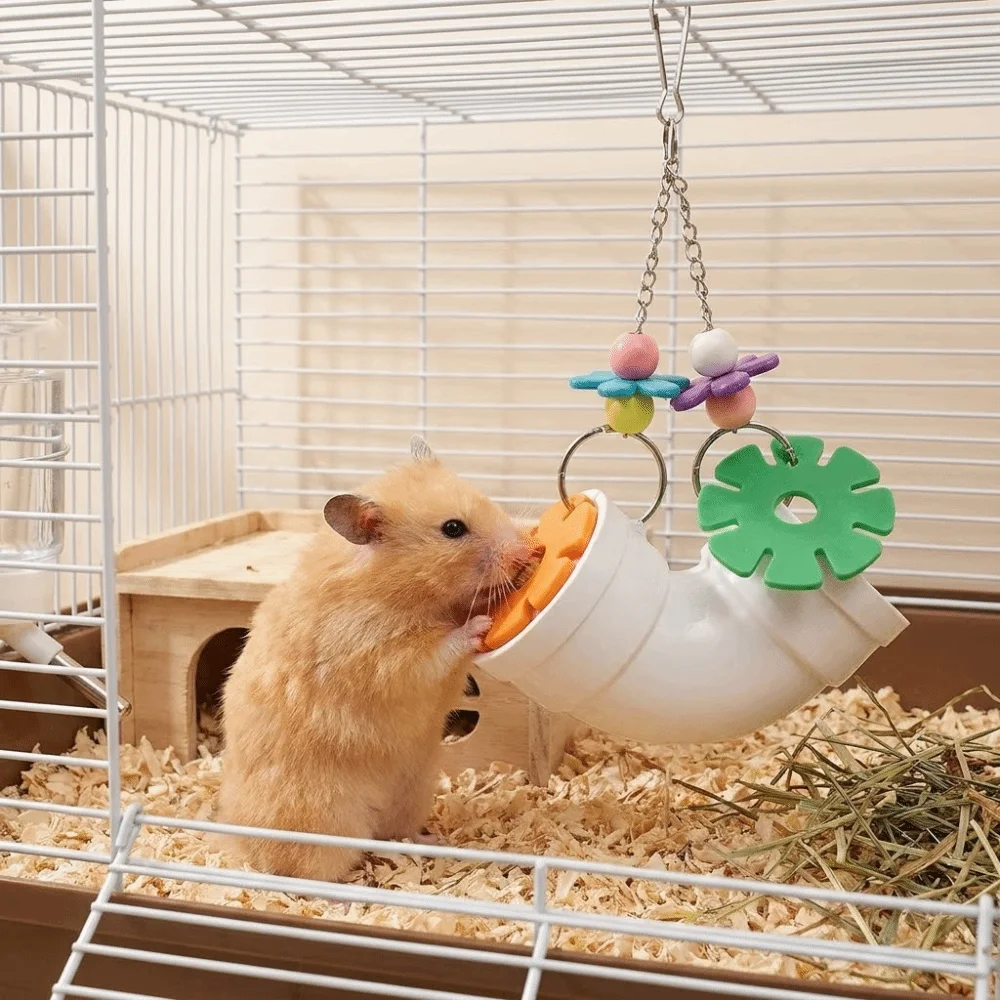 Creative Colorful Hamster Foraging Pipeline Plastic Bite Resistant Pet Bird Hidden Snack Games Bird Gnawing Small Pet