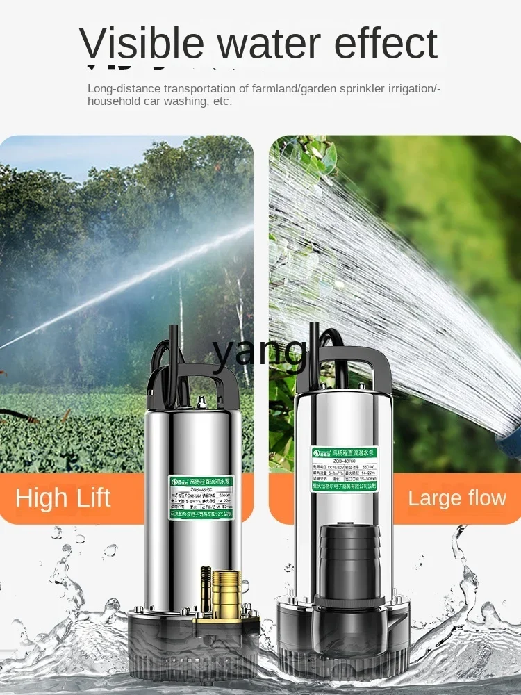 L'm DC Submersible Pump 12V24V48V60V Battery Electric Vehicle Water Pump Small Irrigation Agricultural Pump