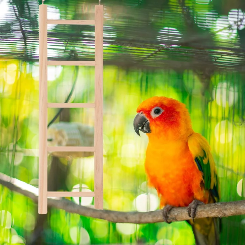 a-climbing-swing-made-of-wood-suitable-for-decorating-bird-cages-used-by-tiger-skin-parrots-cockatoos-and-other-birds