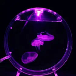 Aquarium desktop jellyfish tank starfish mini tank dream lantern bubble oxygen supply aquarium accessories 5V 1.5W