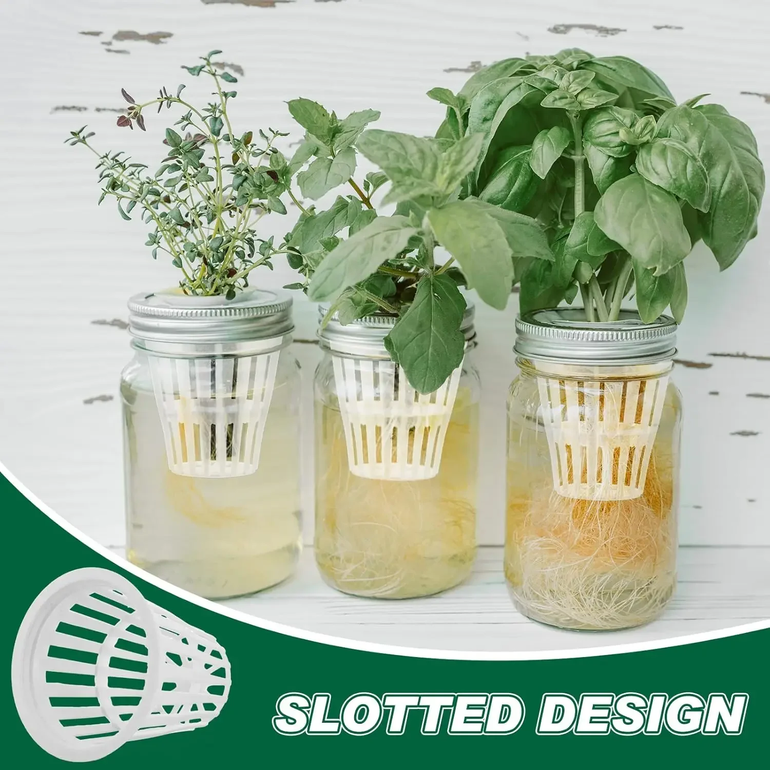 50/100Pcs 2 Inch Hydroponic Basket Cup Durable Safe Plastic Hydroponic Slotted Mesh Cups Garden Net Pots for Garden Hydroponics