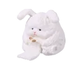 Angora rabbit white