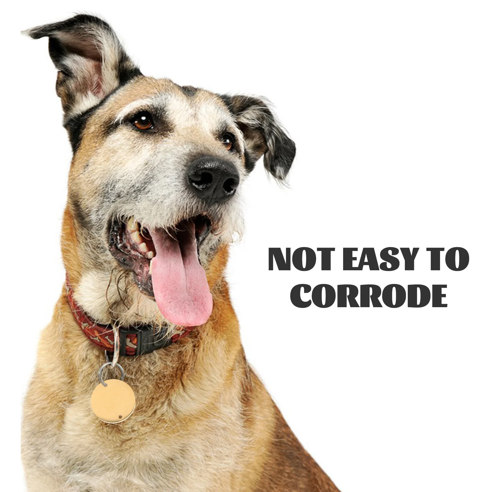 

6Pcs Dog Tags Stainless Steel Round Blank Pendant Durable DIY Pet Id Tag Stamp Blanks Engraved Metal Tags for Pets