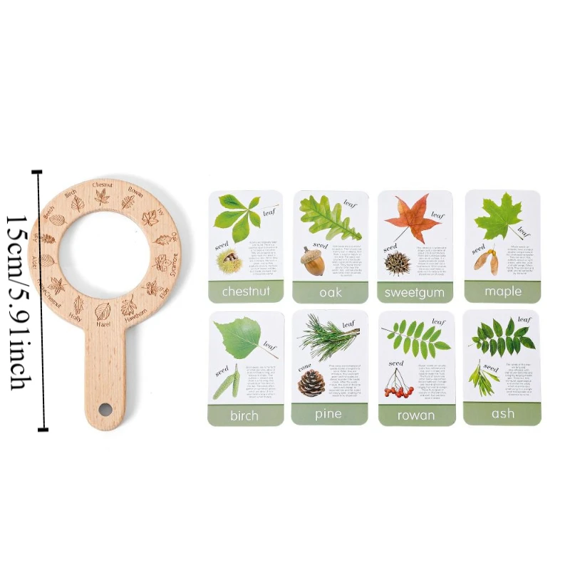 Montessori เด็กกลางแจ้ง Explorer เครื่องมือของเล่นเพื่อการศึกษาไม้แว่นขยายของเล่นสํารวจสติปัญญา
