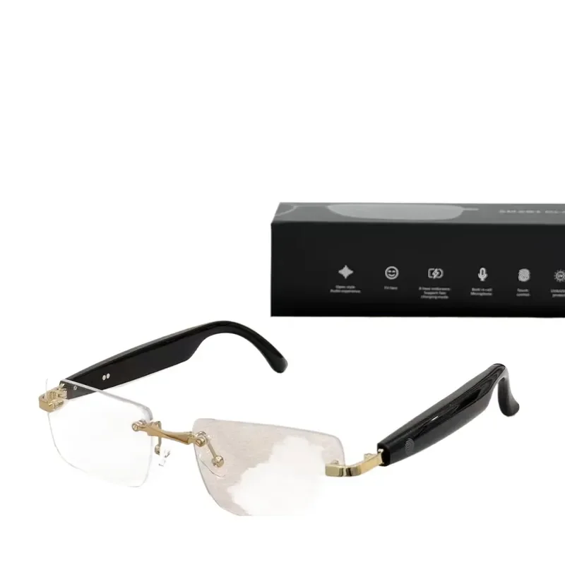 Smart Glasses AI Real Time Translation 100 Languages Voice Interpreter Device For Business Travel Conference Meeting Hands