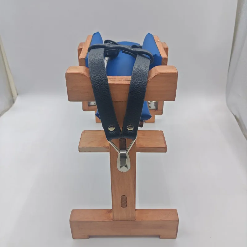 Pet fixed acupuncture stand
