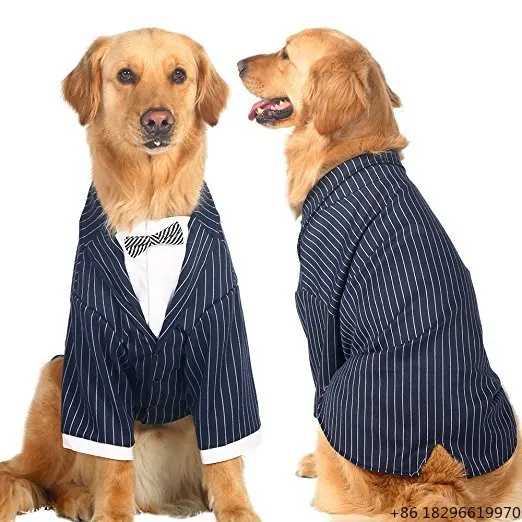 Navy Gentleman Formal Tuxedo Stylish Large Dog Wedding Party Outfit