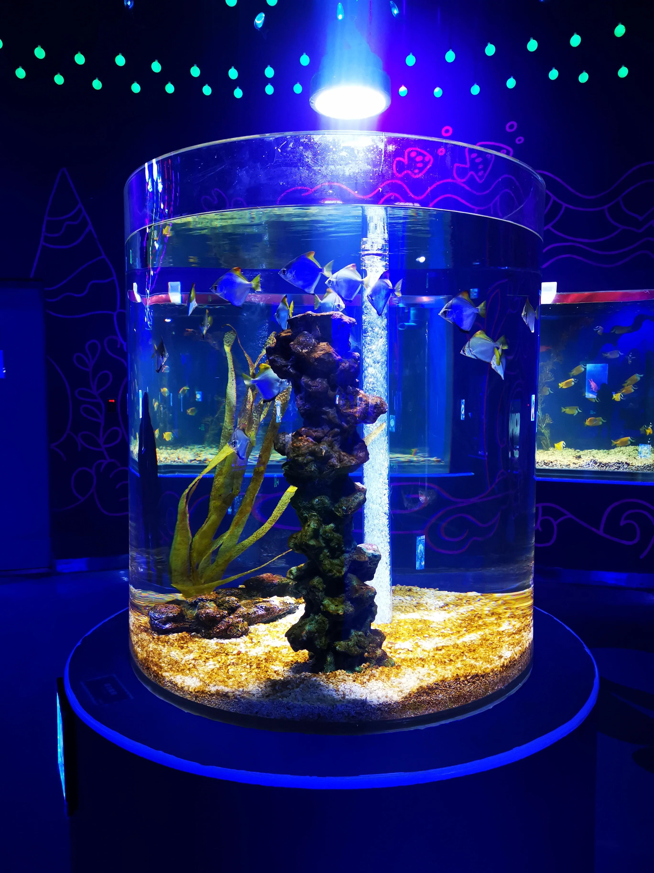 Lightweight Clear Cylindrical Aquarium Fish Tank, Mini Round Fish Habitat for Desktop Home Ornament with Smooth Safe Edges