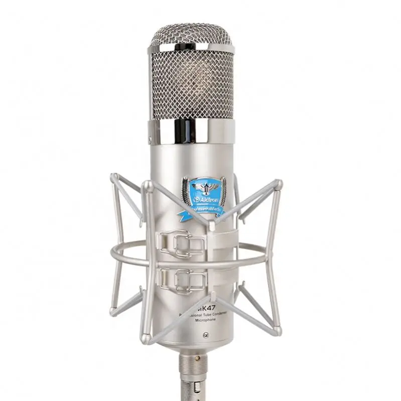 Foldable Mic Condenser Microphone Pro Audio Studio Sound Recording shouck mount