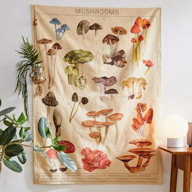 

Mushroom Tapestry Wall Decor Mycology Mushroom Champignon Identification Chart Diagram Illustration Wall Art Boho Decor