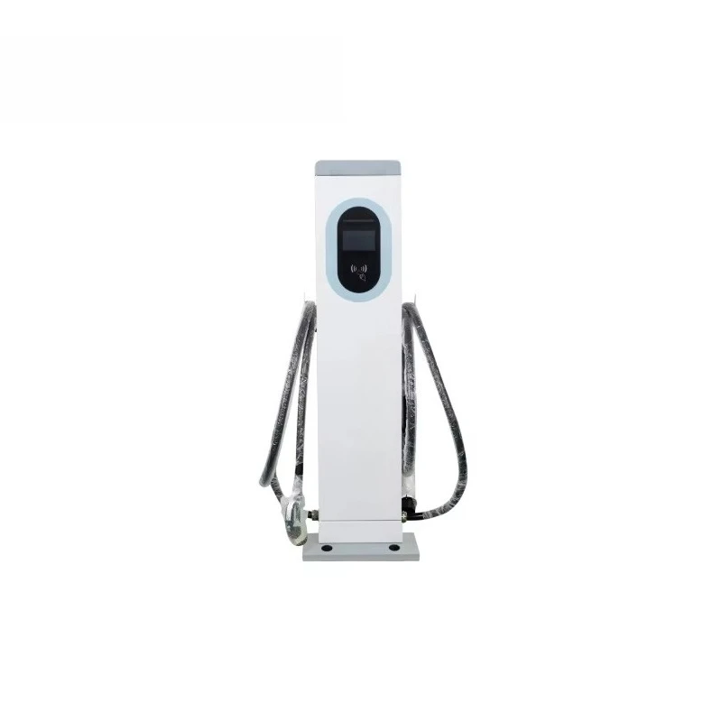 Customized OCPp AC 22KW Dual  Fast EV Charger Type 2 Dual Pile Electric Car Charging Station Floor-Mounted IP54 4.3