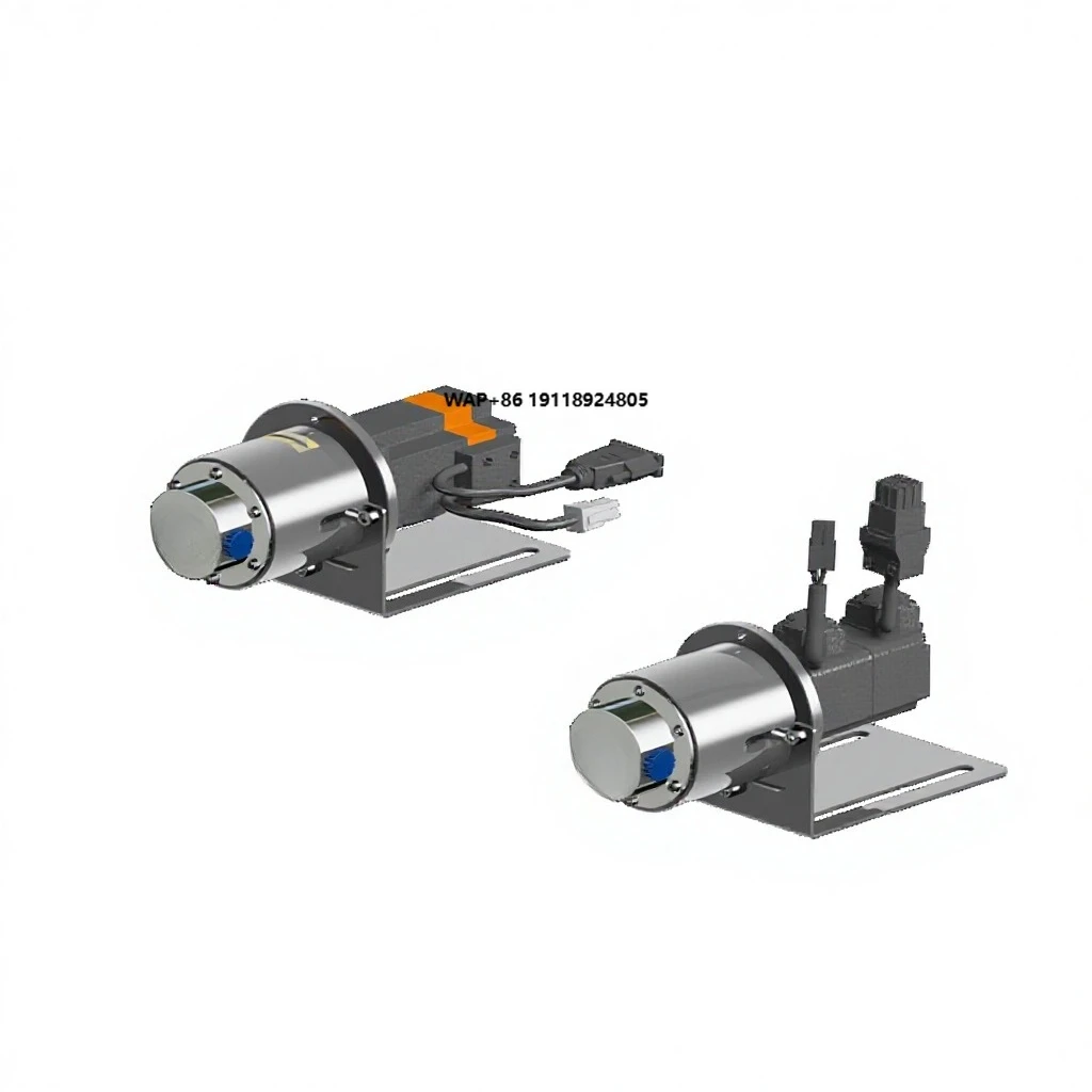 High Precision Stainless Built-in Bldc Motor 12v-24v Dosing Micro Precision Gear Pump