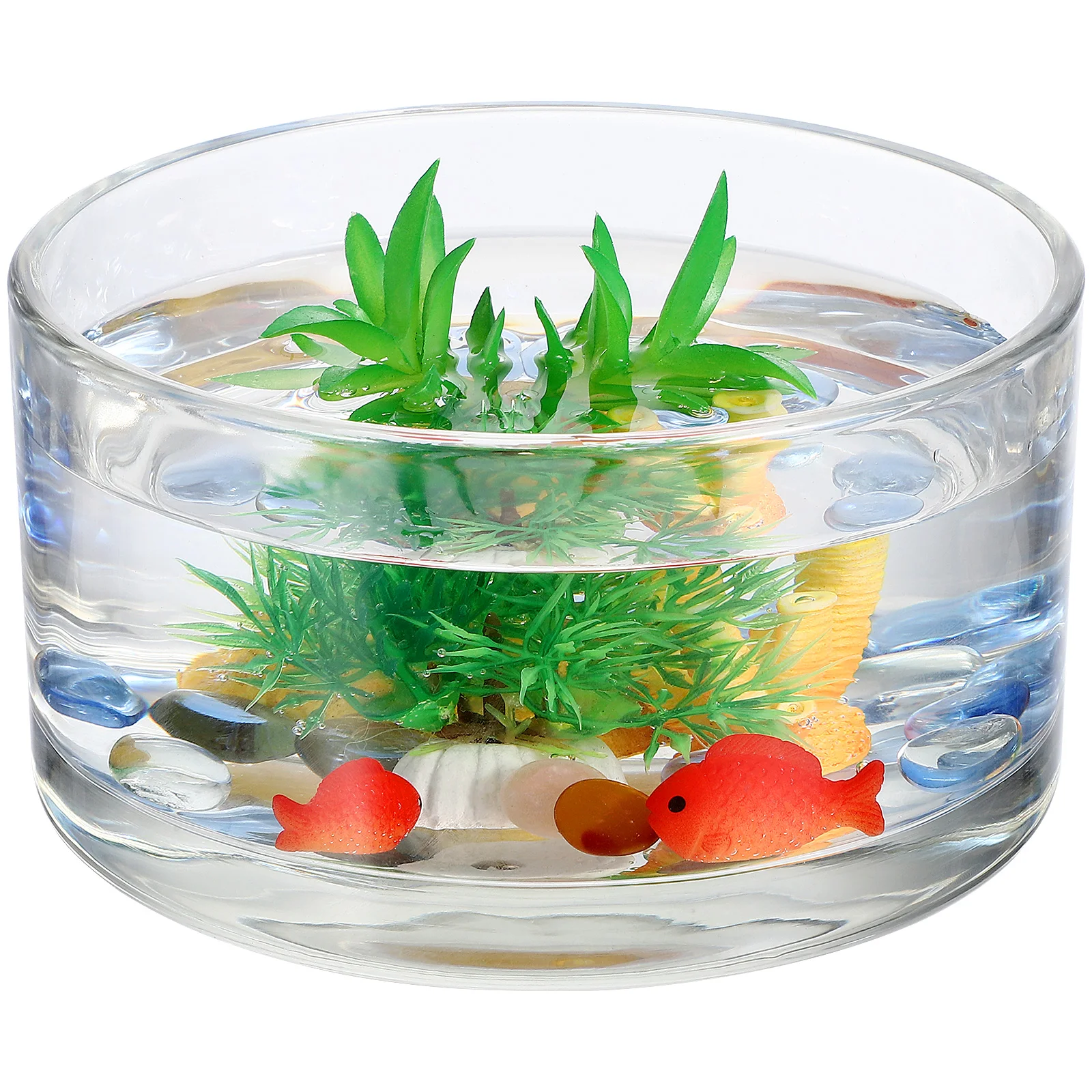 

Hydroponic Flower Bottle Wedding Decor Desktop Planter Vase Clear Succulent Planters