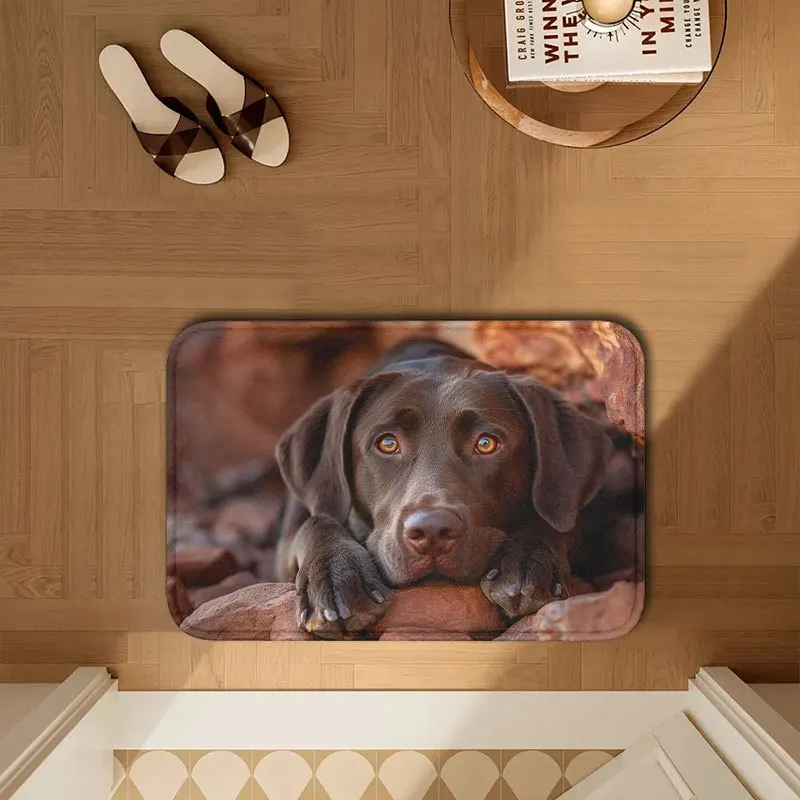 1pc Flannel Doormat, Outdoor Indoor Door Mat Holiday Gift, 1pc Chocolate Labrador Rock Doormat - Soft Plush, Machine Washable