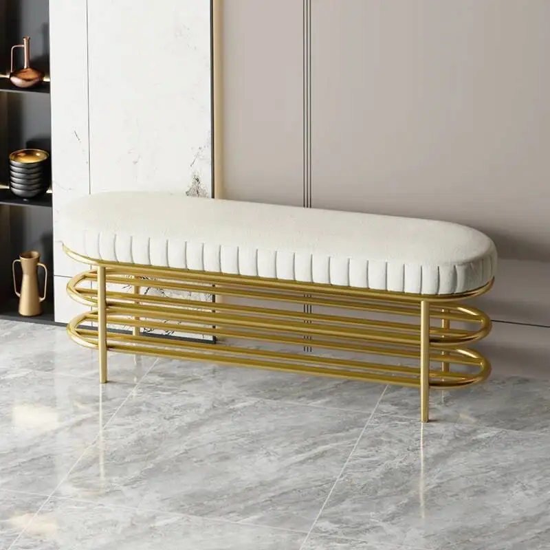 

Metal Shoe Cabinet Luxury Nordic Designer Living Room Garden Makeup Shoe Shelf Replica Vertical Zapatero Entrance Furniture