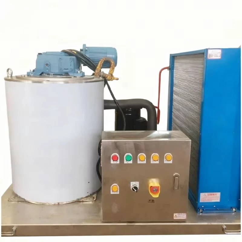 Industrial Stainless Steel Flake Ice Machine 220V 60Hz Single Phase 5kg Storage for Hotel Kitchen Energy Saving Custom