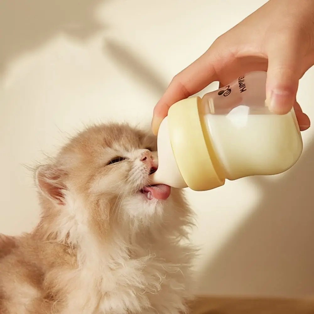 

Portable 80ml Puppy Kitten Feeding Bottle Anti-Choke Scaled Pet Nursing Milk Bottle Glass Silicone Teat Milk Feeder Small Pet