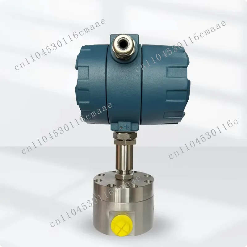 

Stainless Steel Variable Area Water and Oil Flow Meter with LCD Display 0.5% Accuracy 5-3000L/H 4-20mA/RS485