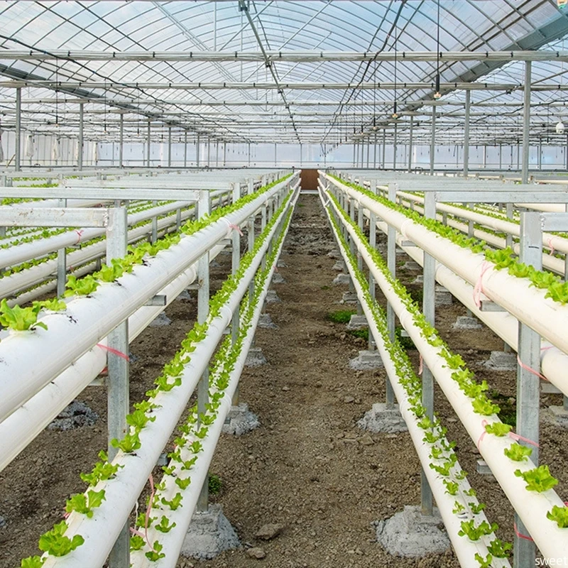 Vegetable Growing Nursery Cup Garden Hydroponic Vegetable Accessories Hydroponic Planting Basket Soilless Nursery Basket