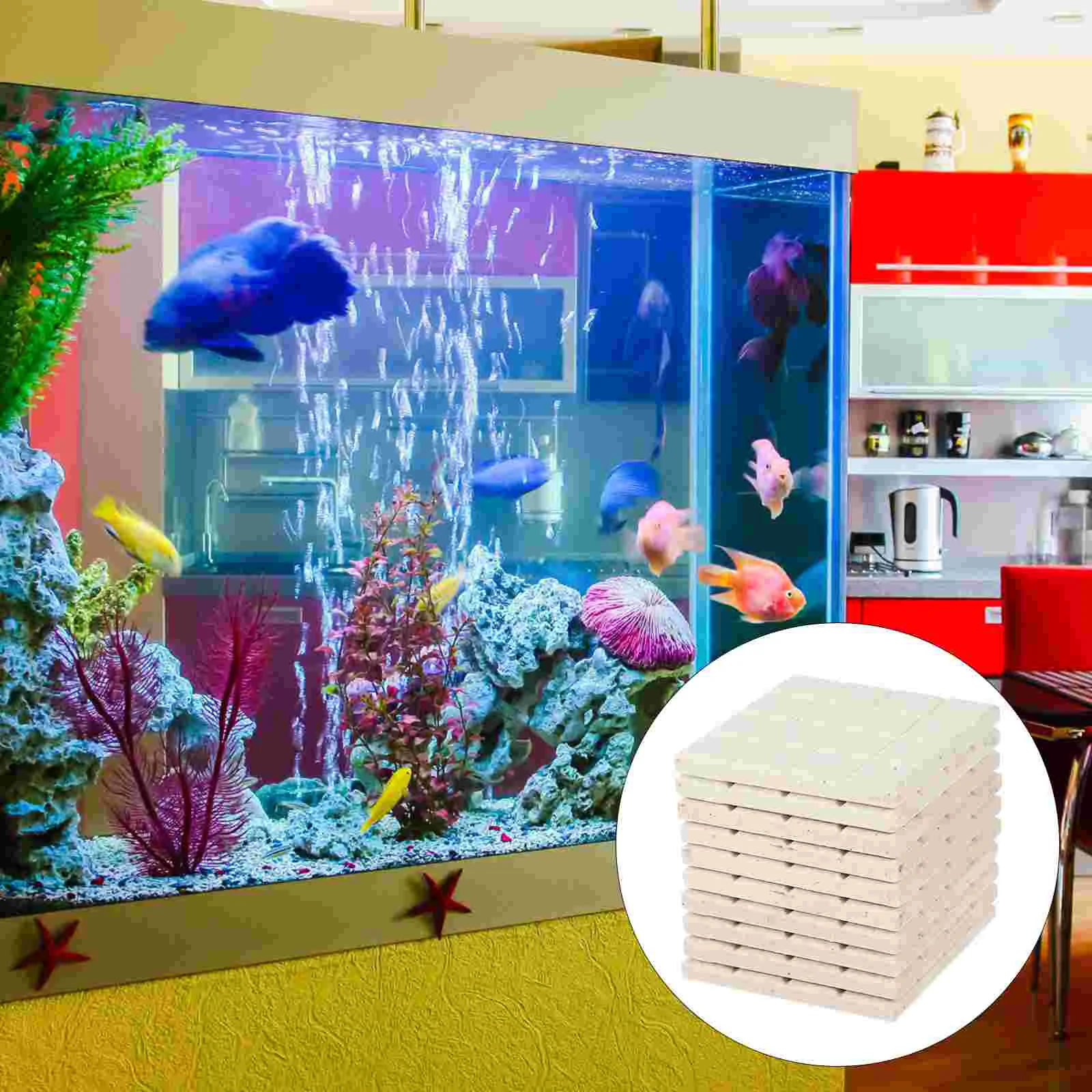 10 PCS Plug Coral Fragment Base Aquarium Breeding Bases Holder White Fish Tank Accessory Man