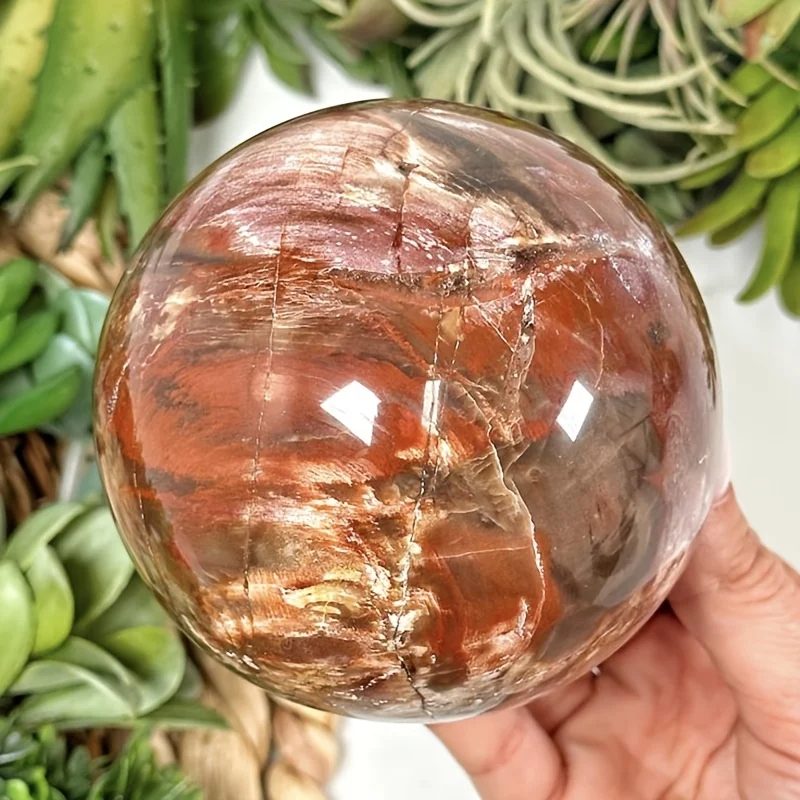 1pc of Petrified Wood Sphere, an Excellent Gift for The Holidays, a Great Desk Ornament, Perfect for Home Decoration