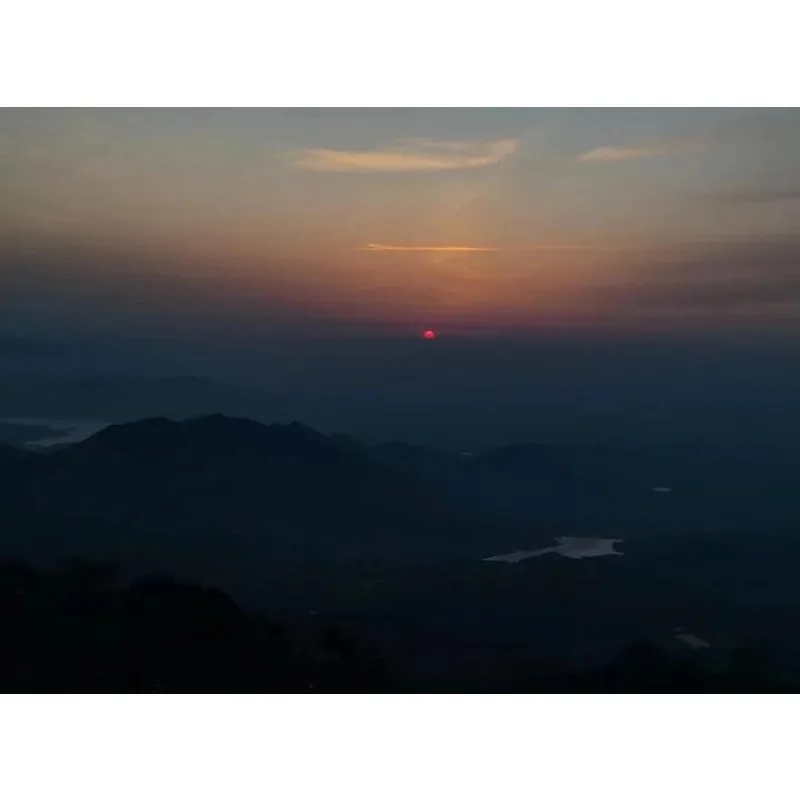 Tiy Rear Seat Pilli…