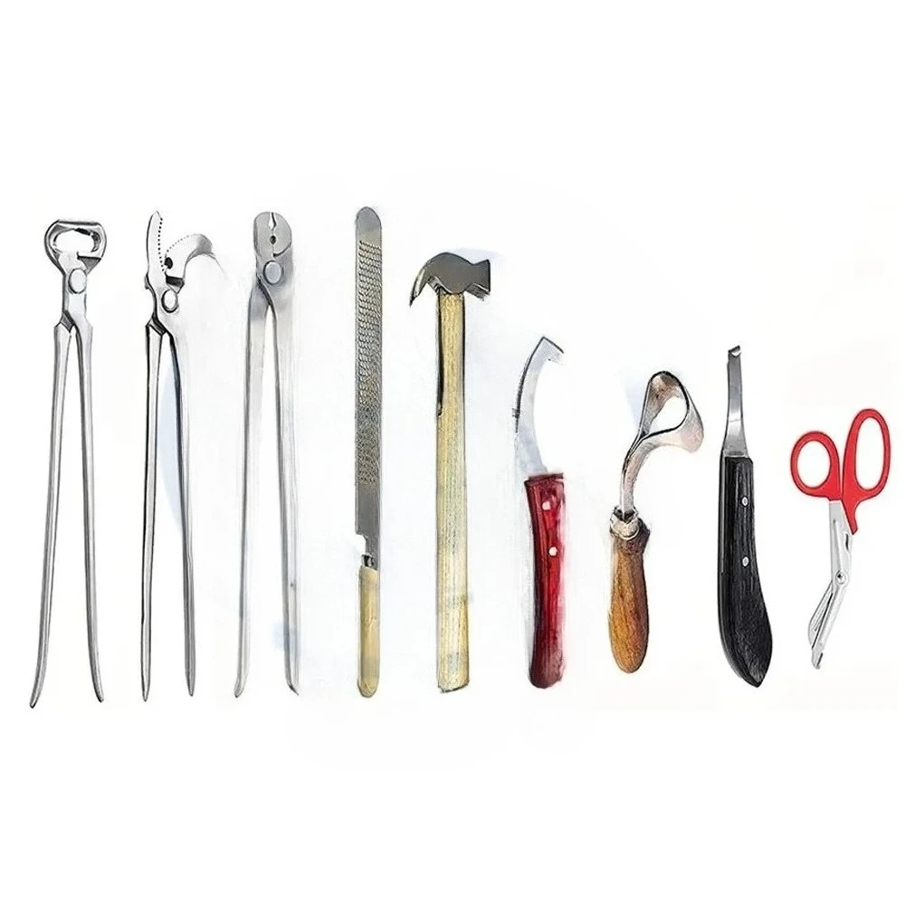 Profesjonalny 8-częściowy zestaw narzędzi do pielęgnacji kopyt końskich z szczypcami w skórzanej torbie, standard niemiecki, marka DADDY D PRO