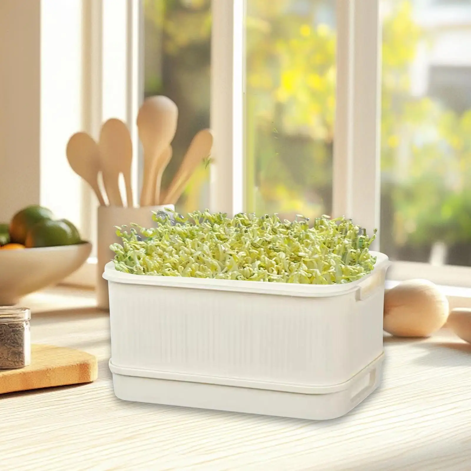 

Sprouts Tray Reusable Multiuse Sprouting Container for Outdoor Garden Home