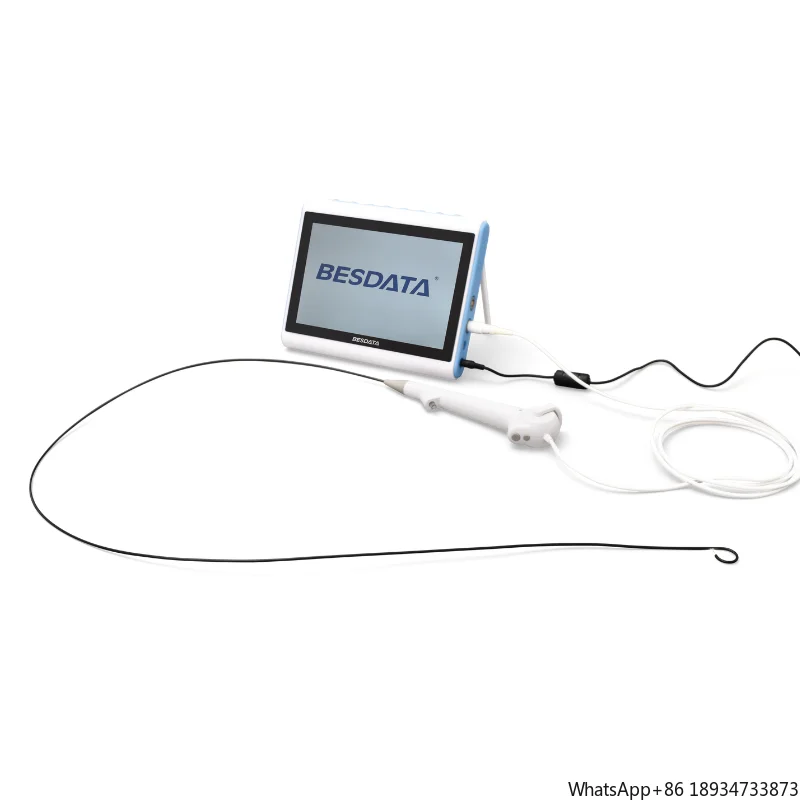 Gastroscope BESDATA good price Flexible Digital Video Single Use gastroscope and colonoscope human