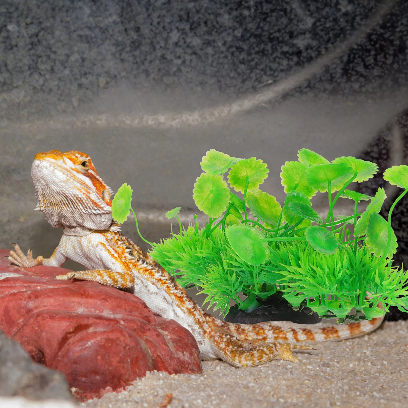 

Lifelike Green Plant Ornament Artificial Aquatic Plant for Fish Tank Plastic Decor Safe Durable Fade Resistant Easy Maintain