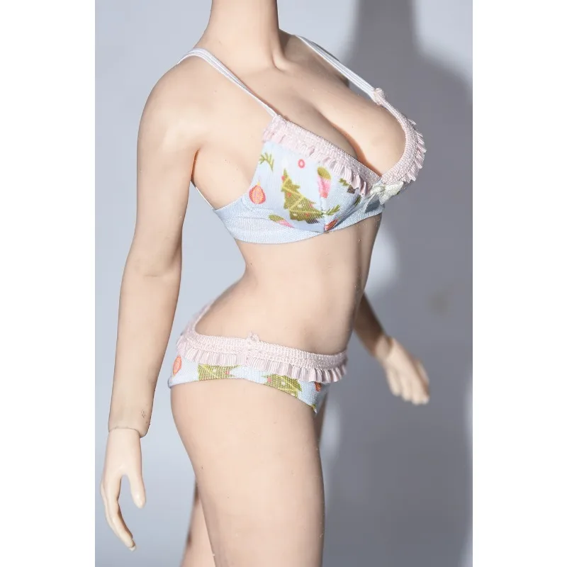 

1/6 Scale Female Hobbies Christmas Collection Underwear Underpants Clothes Model for 12inch Tbl Action Figures Body Accessory