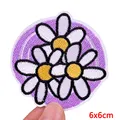 PE9056CT