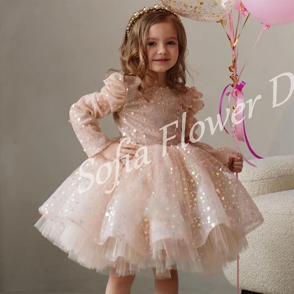 

Shiny Sequined Flower Girl Dress Customized A-Line Long Sleeves Knee Length Princess Dresses First Communion Birthday Party Gown