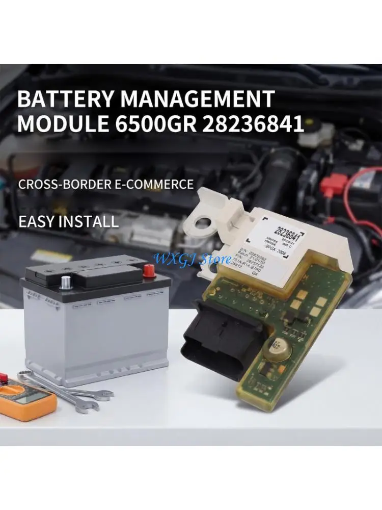 

37JE 6500GR 28236841 Replacement Part Car Battery Module for 3008 5008